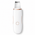 PureWave Ultrasonic Skin Scrubber